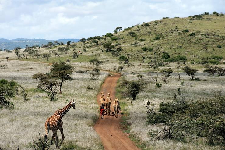 Laikipia - Kenya © Christophe Cerisier/Getty Images/iStockphoto