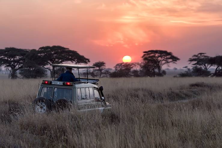 safari - Kenya © Hu Chen / Unsplash.com