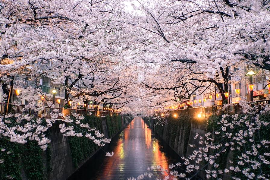 Tokyo - Japon © taketan / Fotolia