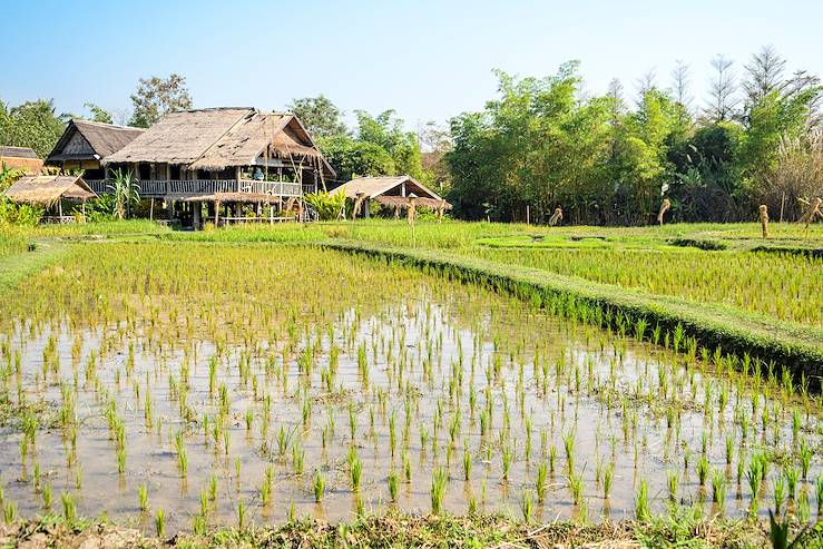 Phong Van - Luang Prabang - Laos © Getty Images