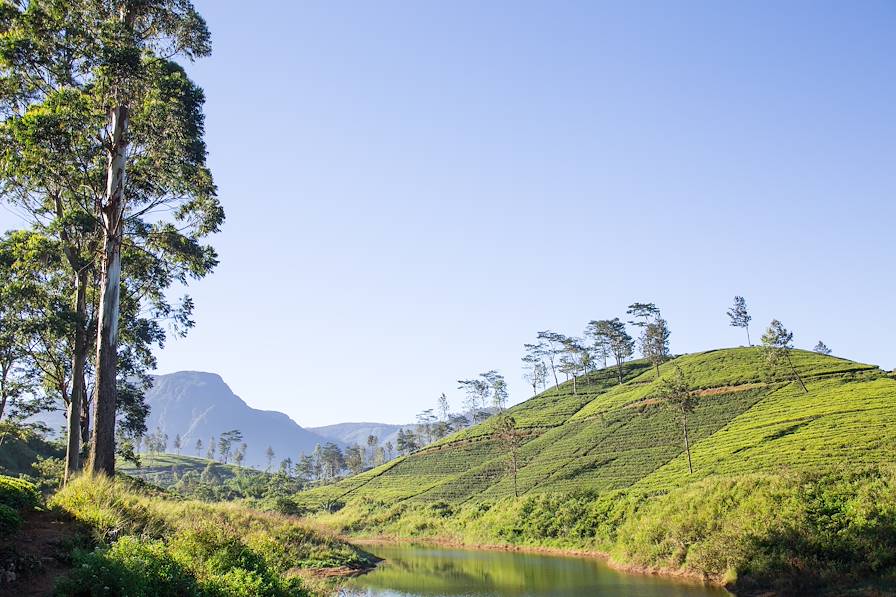 Sri Lanka © Ivannag82/Getty Images/iStockphoto