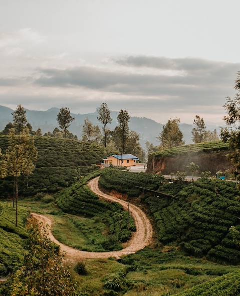 Sri Lanka © denniskrischker.de/Getty Images/iStockphoto