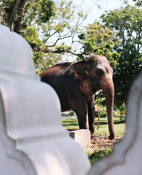 Sri Lanka © Gemma Cagnacci