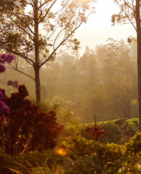 Sri  Lanka © Mathieu Richer Mamousse