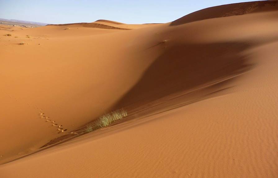 Zagora - Maroc © Droits réservés