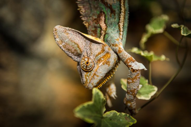 Madagascar © Jiri Zuzanek/jurra8/Fotolia