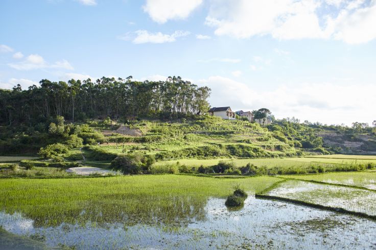 Madagascar  © Laura Thiesbrummel/stock.adobe.com