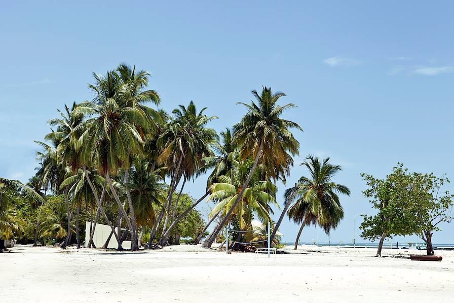 Atoll de Baa - Maldives © Eve Plaza/Getty Images/iStockphoto