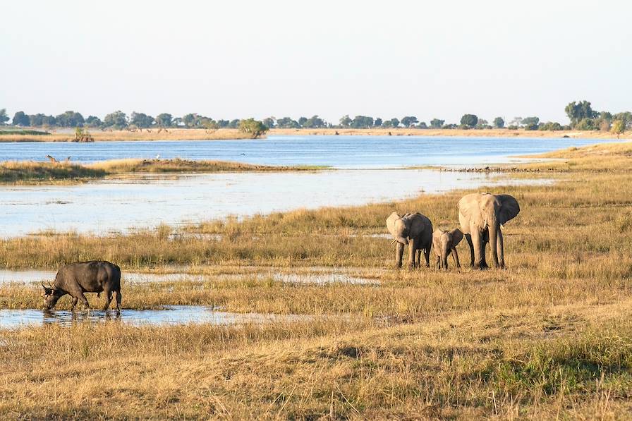 Botswana © Nils Ackermann/iconimage/Fotolia