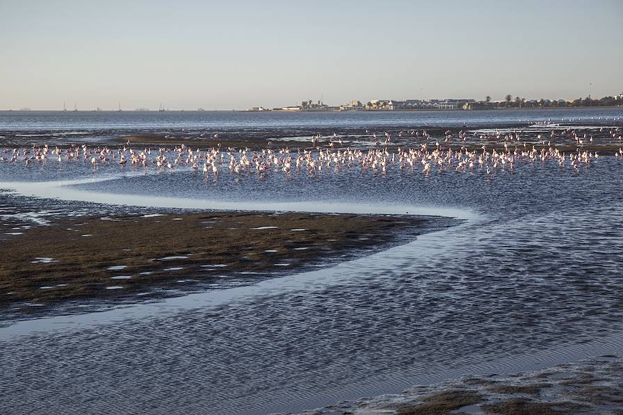 Walvis Bay - Namibie © enrico113/Fotolia