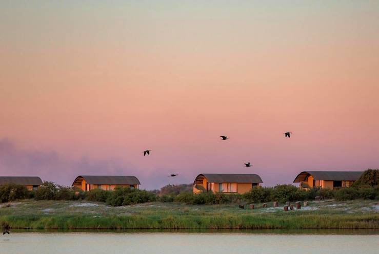 Chobe National Park - Rive Namibienne - Botswana © Droits réservés