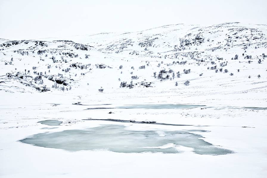 Norvège © Max Galli/LAIF-REA