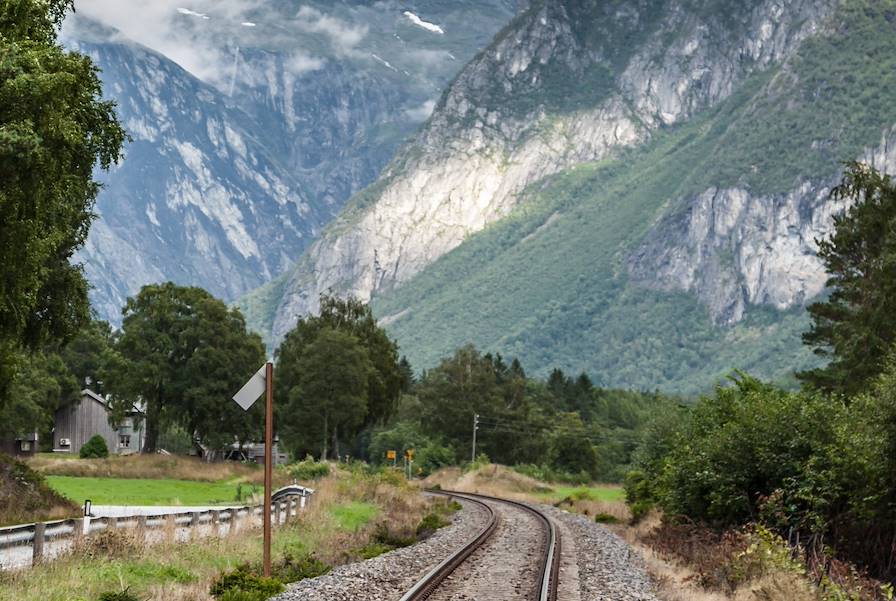 Train - Norvège © Lukasz Janyst - stock.adobe.com