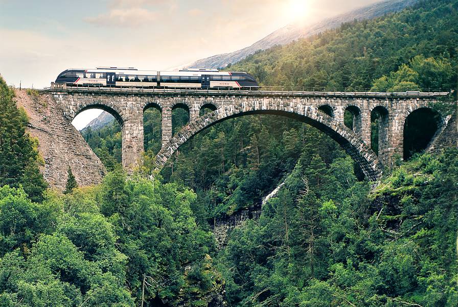 Train - Raumabanen - Norvège © Johan Berge / visit Norway