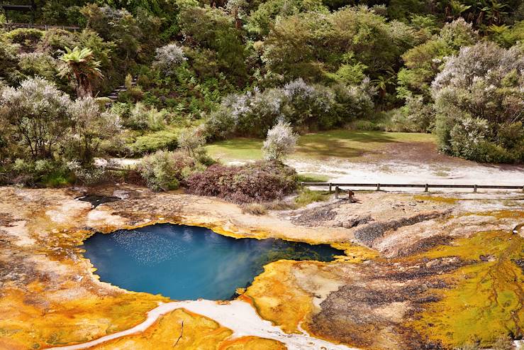 Orakei Korako - Nouvelle Zélande © Dmitry Pichugin/stock.adobe.com