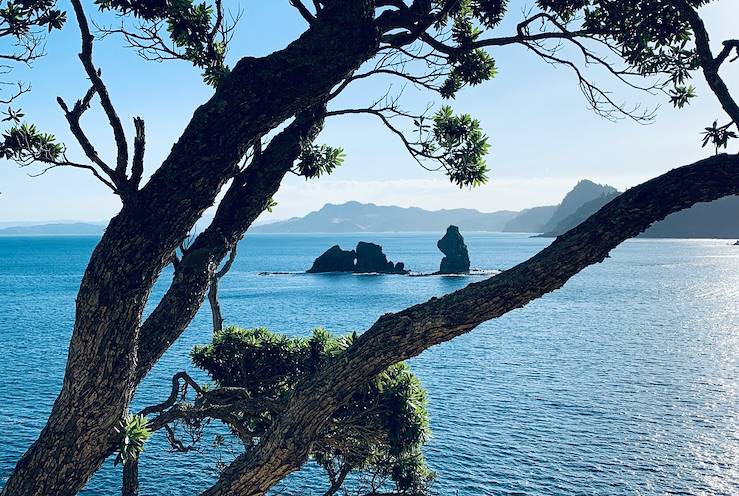 Opito Bay - Nouvelle-Zélande © Owen le Roux/Unsplash