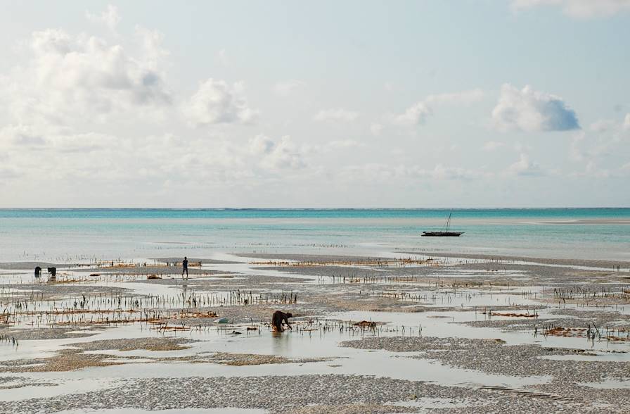 Sur une plage de Zanzibar - Tanzanie © Virginie Vincent