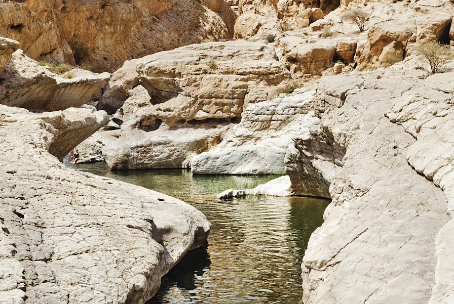 Wadi - Oman © Julien Capmeil/Gallery Stock