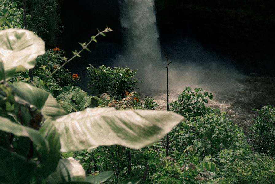 Panama © Jakob Owens/Unsplash