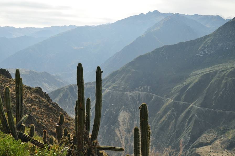 Le Canyon de Colca - Pérou © Astride Ayrole