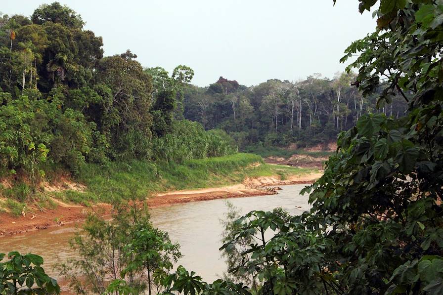 Puerto Maldonado - Madre de Dios - Pérou © Goddard_Photography/Getty Images/iStockphoto