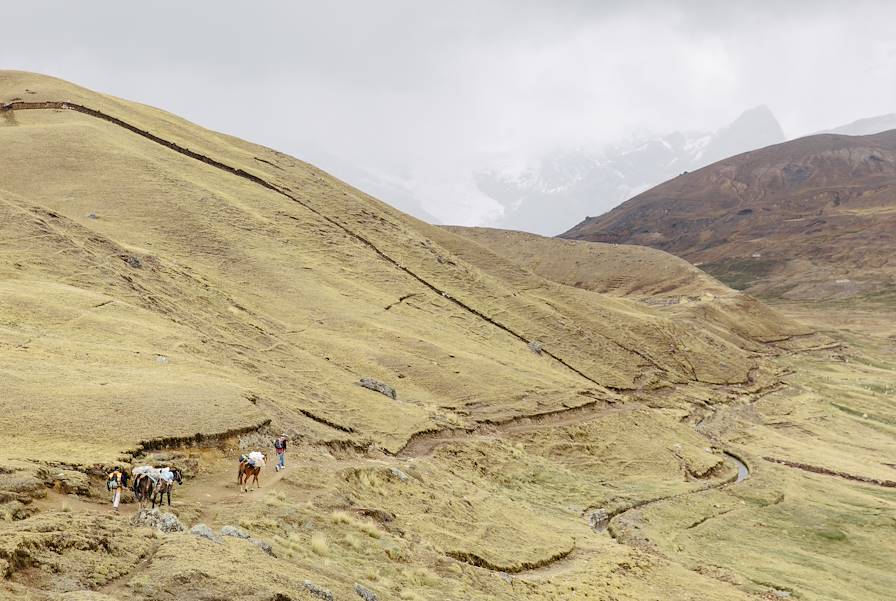 Vallée sacrée des Incas - Pérou © Kevin Faingnaert