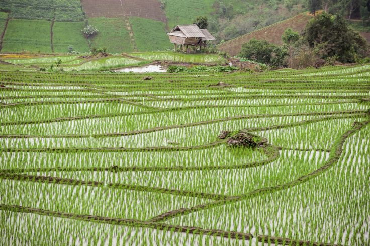 Banaue - Philippines © ktianngoen0128/Getty Images/iStockphoto