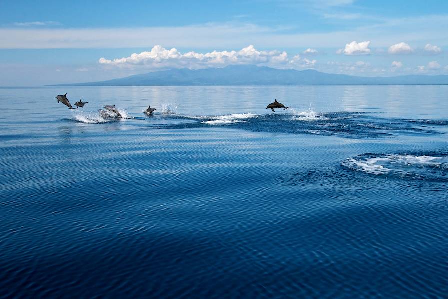 Dumaguete - Philippines © Steve De Neef