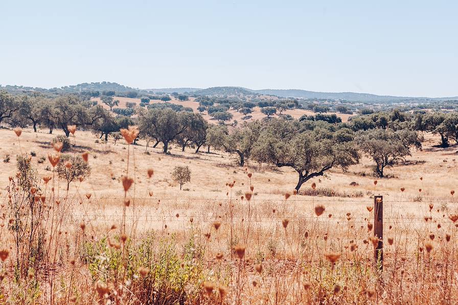 Alentejo - Portugal © Olivier Romano