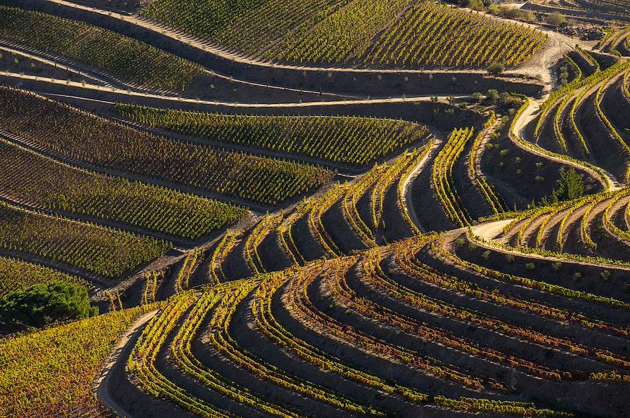 Douro - Portugal © Bruno Ismael Alves/stock.adobe.com