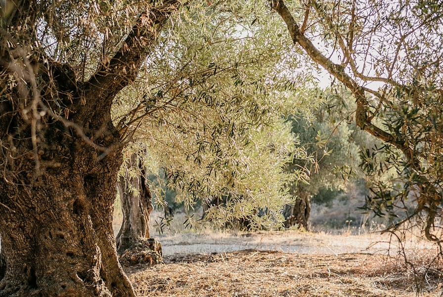 Algarve - Portugal © Lucy Laucht