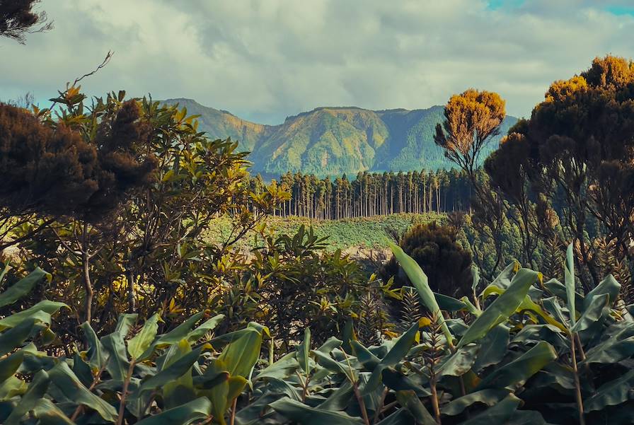 Sao Miguel - Açores - Portugal © Pexels/Duncan Light