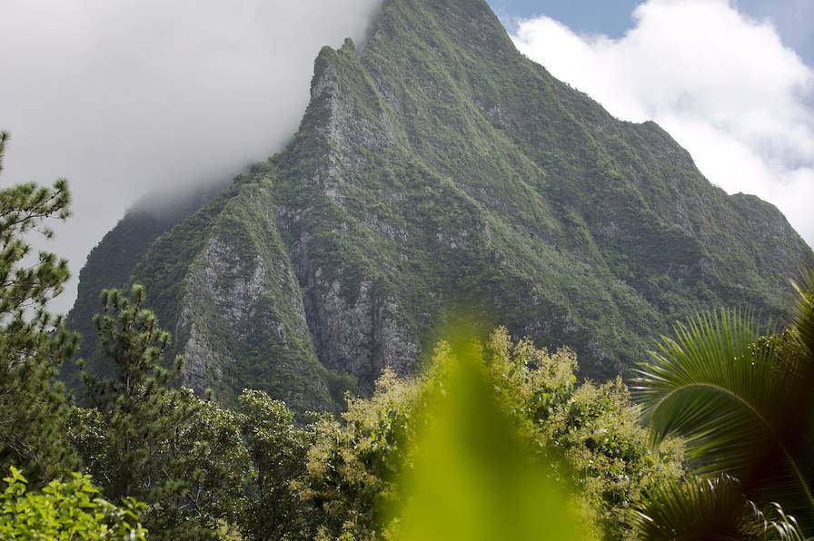 Moorea -Polynésie française © Andreas Hub / Laif-Rea