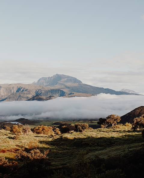 Plaine des Cafres - Réunion © Ludovic Jacome