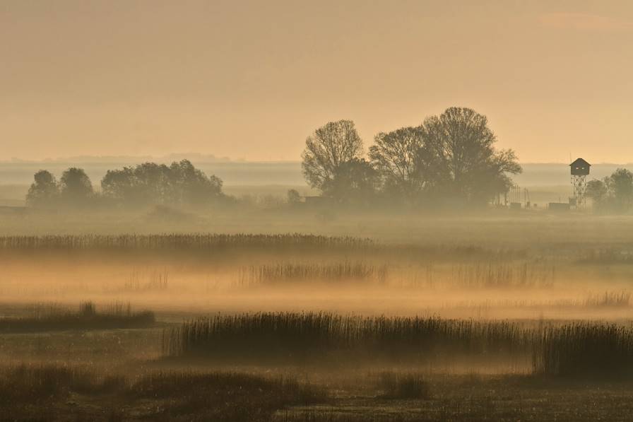 Delta du Danube - Roumanie © porojnicu/Getty Images/iStockphoto