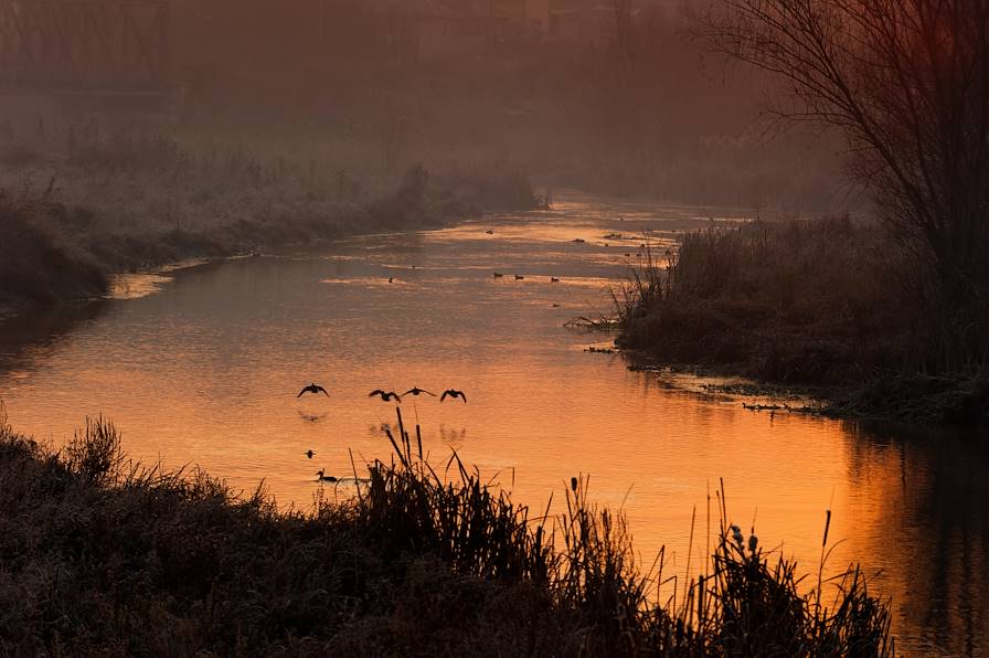 Delta du Danube - Roumanie © Droits reservés