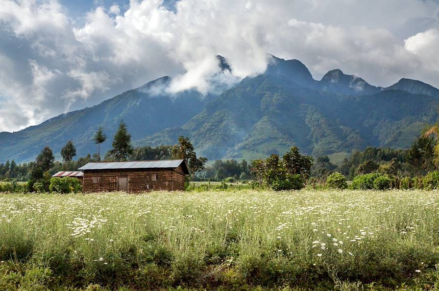 Volcan Sabyinyo - Rwanda © Slootweg/Getty Images/iStockphoto