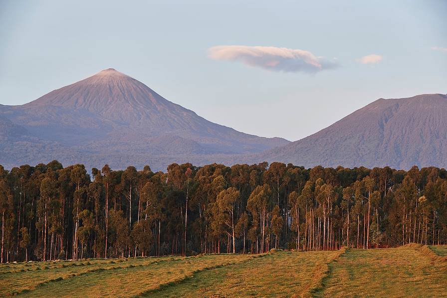 Parc National des Volcans - Rwanda © Droits reservés