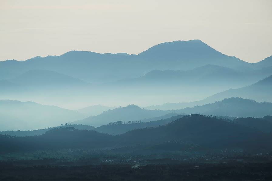 Parc National des Volcans - Rwanda © Droits reservés