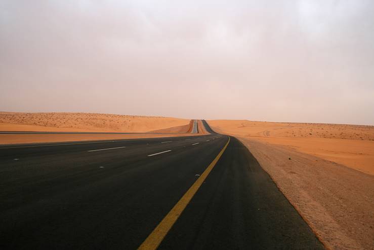 Arabie Saoudite © salem/Getty Images/iStockphoto