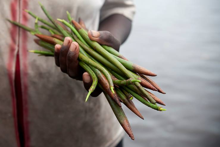 Sine Saloum - Sénégal © Marion Osmont