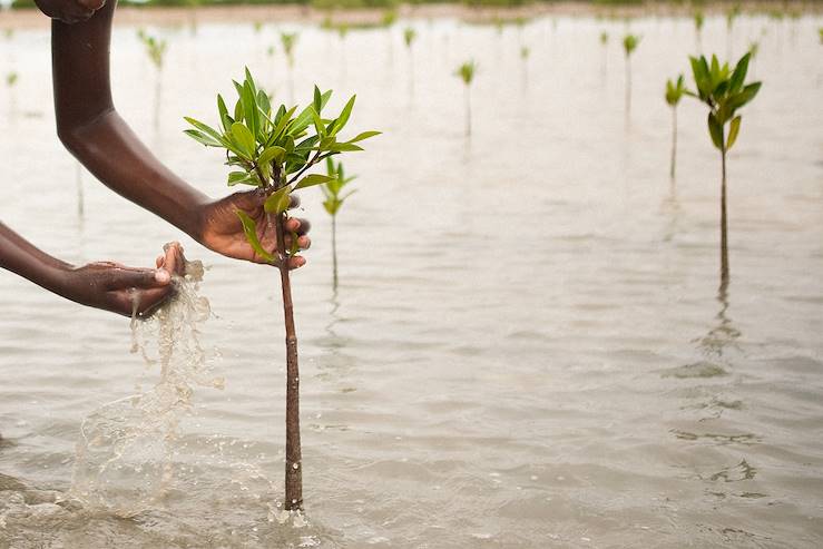 Delta de Saloum © Marion Osmont