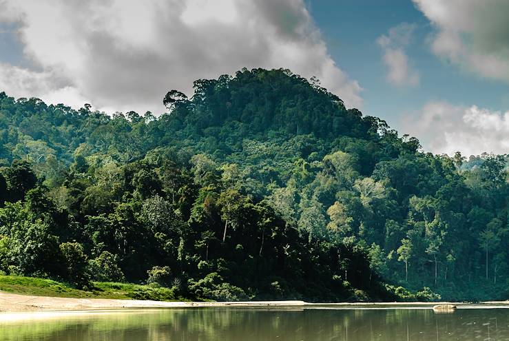 Parc national de Taman Negara - Malaisie © ahau1969/Getty Images/iStockphoto