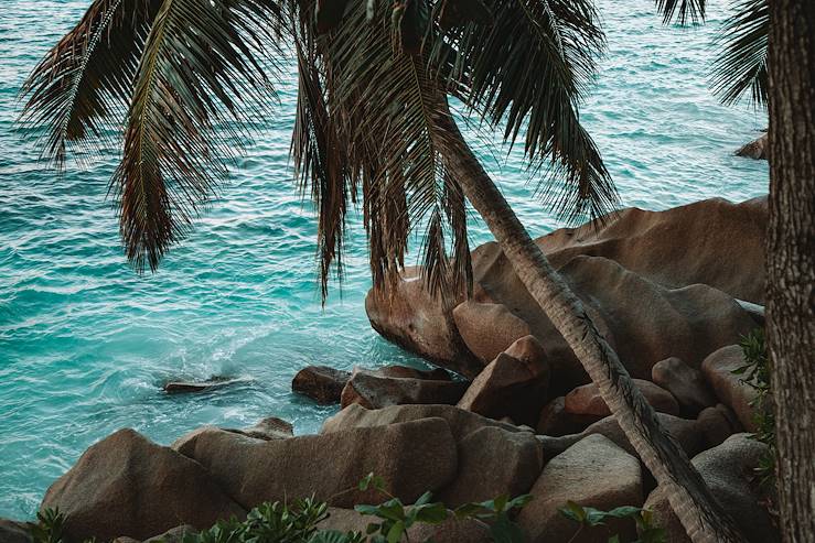 Seychelles © Vanessa Martin