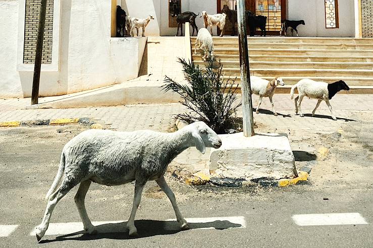 Kairouan - Tunisie © Claire Priou