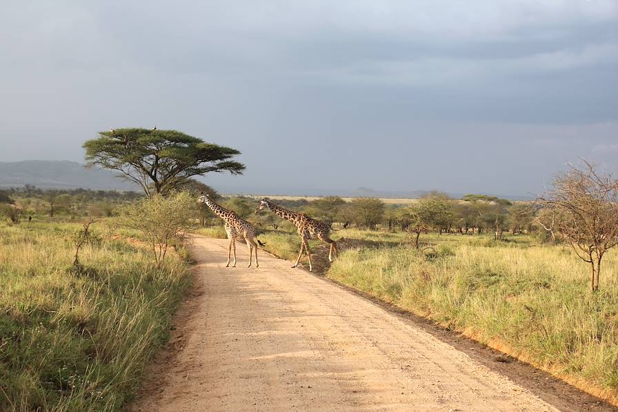 Entre Karatu et le parc national du Serengeti - Arusha - Tanzanie © David Brunet