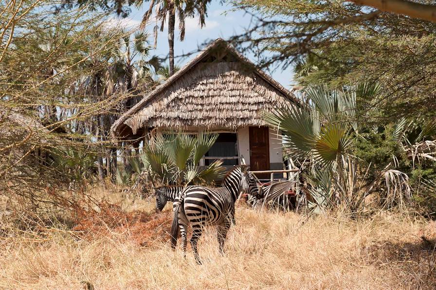 Parc national de Tarangire - Tanzanie © Droits reservés