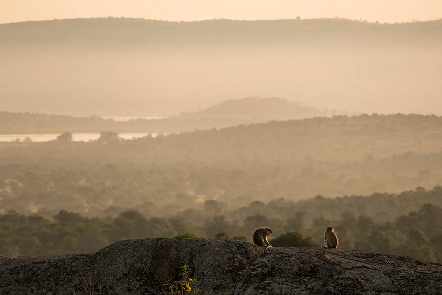 Lac Mburo - Ouganda © Sami Fayed