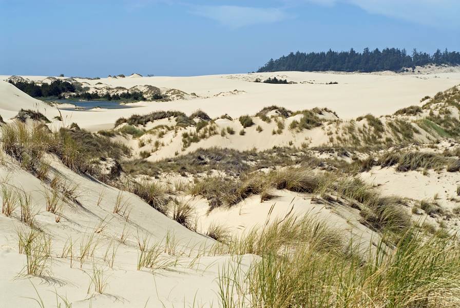 Oregon Dunes National Recreation Area - Etats-Unis © bywriter/Getty Images/iStockphoto