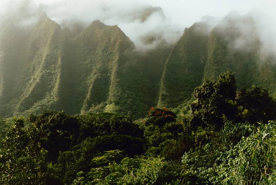 Oahu - Hawaï - Etats-Unis © Ronan Guillou